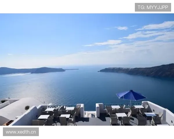 大阪刚买下比她训练场还大的海岛，网友：这姐是把发球当印钞机打？