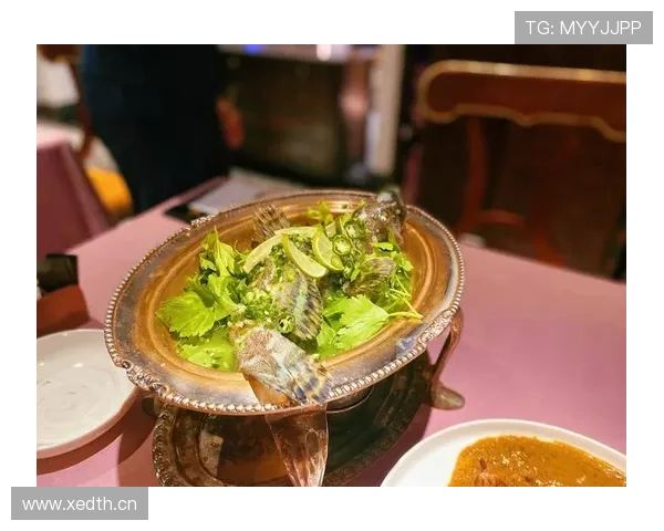 凯蒂·莱德基每天游50公里，吃饭像打卡米其林